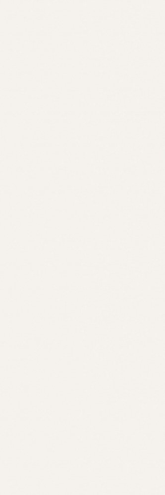  Allegro White  Матовая   Ректификат  40x120 / Основное большое изображение