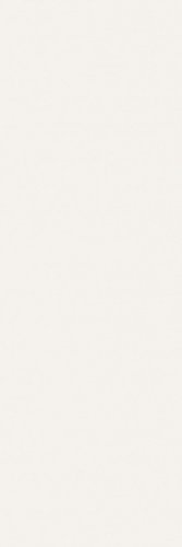 Allegro White  Матовая   Ректификат  40x120