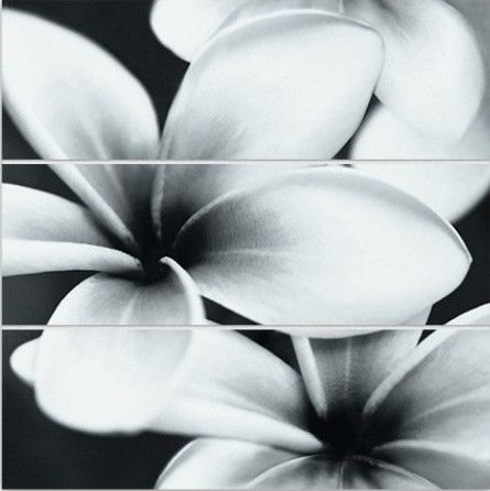 Meissen Keramik Спецэлемент стеклянный Universal Glass Flowers 75x75 / Основное большое изображение