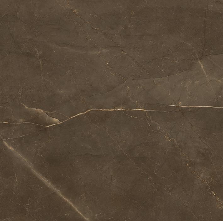  Armani Gold  коричневый 60x60 полированный / Основное большое изображение
