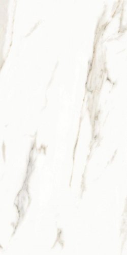 Splendida Marmol Carrara Polished 60x120