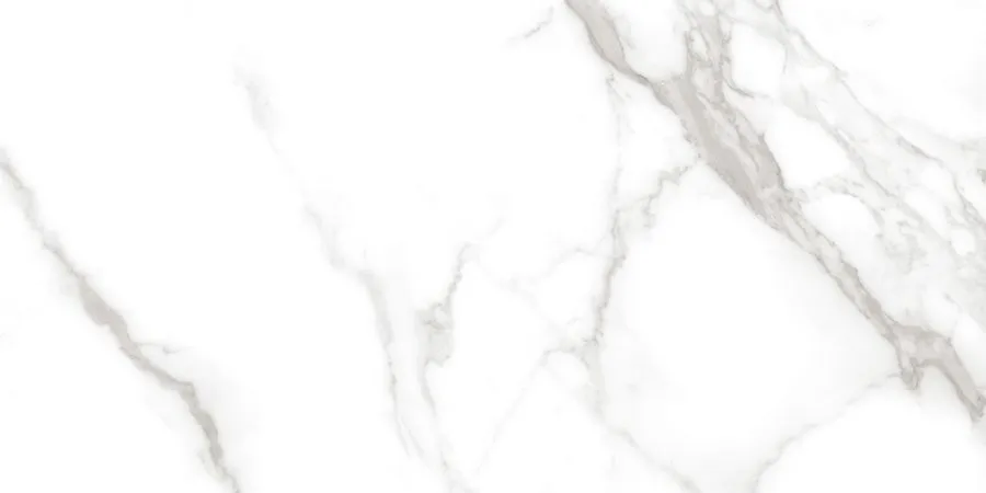 Neodom Керамогранит Hermitage Statuario Irish Grey Polished  60x120 / Основное большое изображение
