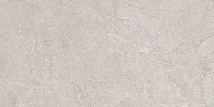 Neodom Керамогранит Techno Matt Aristo Grey Tm 80x160 / Основное большое изображение