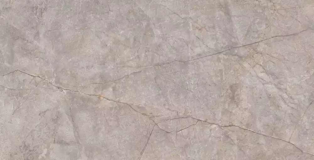 Neodom Керамогранит Techno Matt Silver River Carving 80x160 / Основное большое изображение