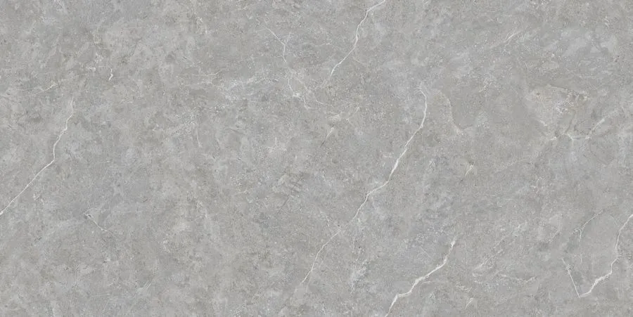 Neodom Керамогранит Techno Matt Mica Grigio TM 80x160 / Основное большое изображение