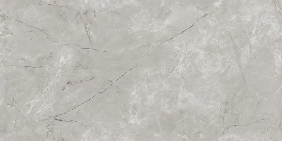Neodom Керамогранит Techno Matt Siena Grey TM 80x160 / Основное большое изображение