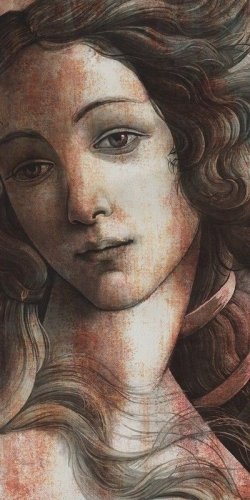 Ковер Венера Матовый Обрезной  119.5×238.5