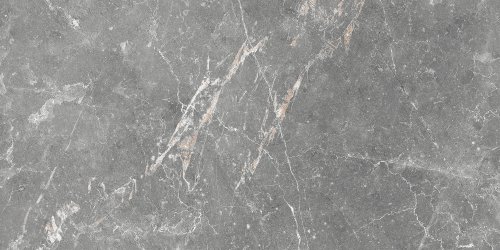 GT99VG Плитка облиц. Capella GT Сер. 50*25 _ 1 \74,25