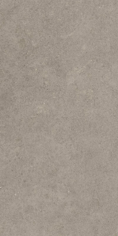 Atlas Concorde Russia Керамогранит Forte dei Marmi Rock Lunar Grey 80x160 / Основное большое изображение