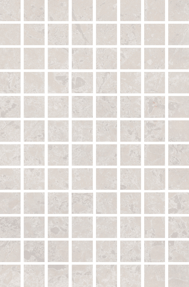 Kerama Marazzi Декор Ферони мозаичный серый светлый матовый 20x30 / Основное большое изображение