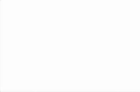 Тигр белый матовый 20x30x0,69