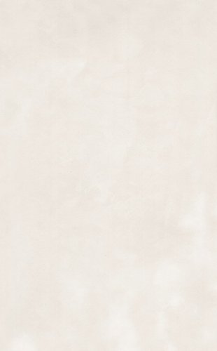 Фоскари бежевый глянцевый 25x40x0,8