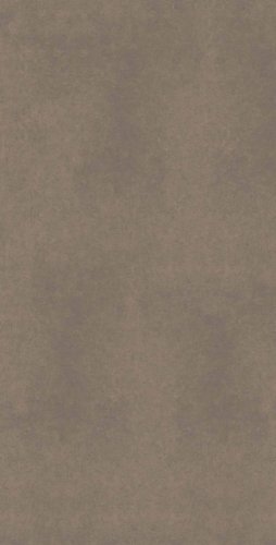 CA04 60x120x9 Непол.Рект. (Керамический гранит)