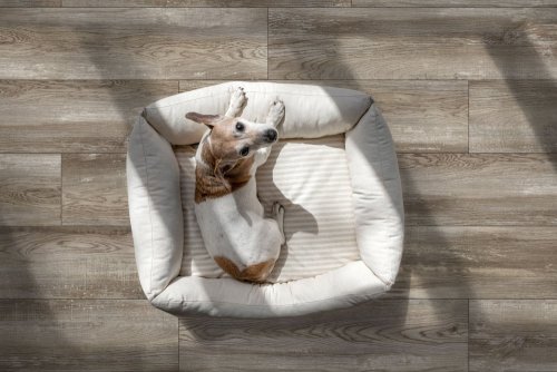 GlobalTile Bremen_GT / Основное малое изображение